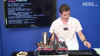 Fixing A Bent Broken Pins On A Cpu Ncix Tech Tips