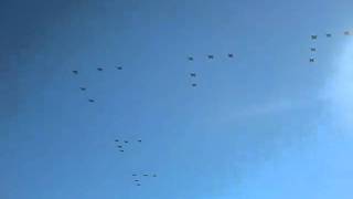 The flyover.avi
