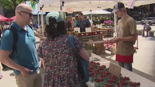 Chicago’s longest-running farmers market on Daley Plaza returns