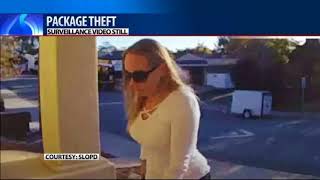 San Luis Obispo police asking for help to identify package thief
