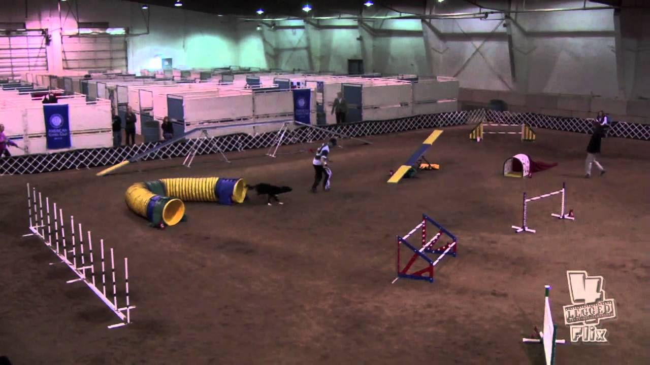 260863 Rd2 STD AKC NAC 2012