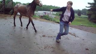 M4H03038.MP4