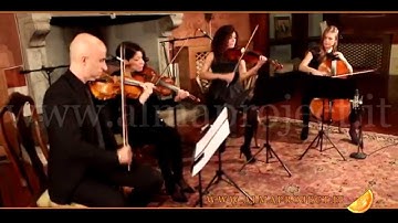 ALMA PROJECT 24/7 - SC String Quartet - Wake Me Up (Avicii)