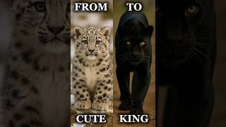 From soft to savage: You won’t believe this glow-up screenshot 1