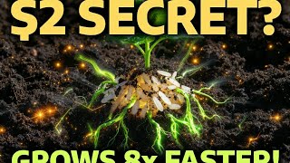 “$2 Soil Hack That Makes Plants Grow 8× Faster (Hidden From Gardeners!)”