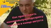 Николаевские голуби Вадима