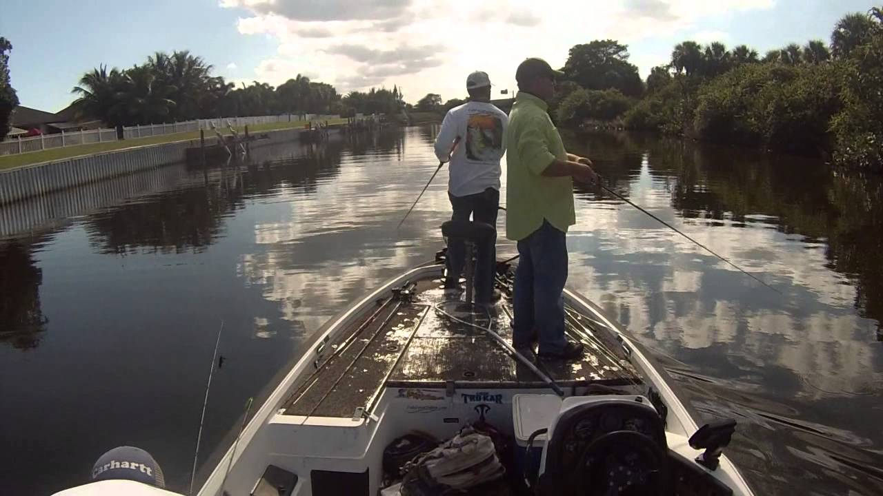 Florida in december YouTube