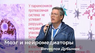 Вячеслав Дубынин – Мозг и нейромедиаторы