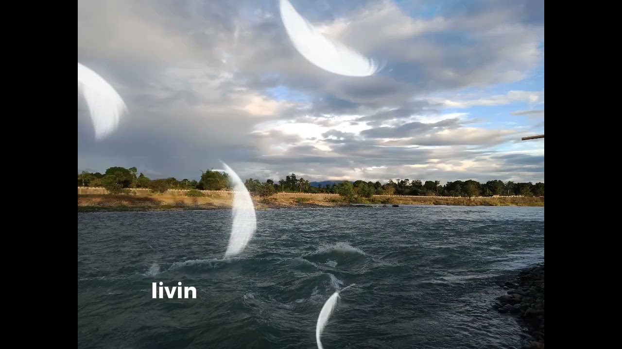 Whispers of November by FearlessRock9500