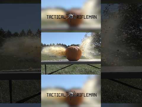 PUMPKIN vs. BENELLI M4 #benelli #m4 #shorts #pumpkin #halloween #tacticalrifleman