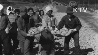 대한뉴스 제 806호-이런일 저런일