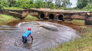 Unbelievable Cast Net Fishing Video - Amazing million Net Fishing Videos - Village Net Fishing Video