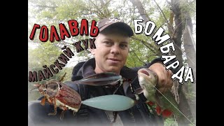 🔝🔝🔝Ловим🎣 голавля🐠 на майского жука🐞 с бомбардой📍 от-А до-Я.#рыбалка#ловляголавля #майскийжук