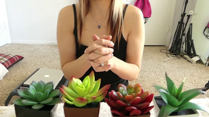 Dollar Tree DIY Succulent Garden