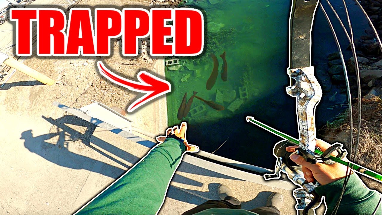 BOWFISHING for GIANT Fish Trapped in Shallow Ditch!!