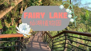 fairy lake | 仙湖植物园