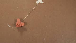 pendelum Strings Attach Both - Week 2 Task
