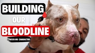Starting Our Bloodline?!!