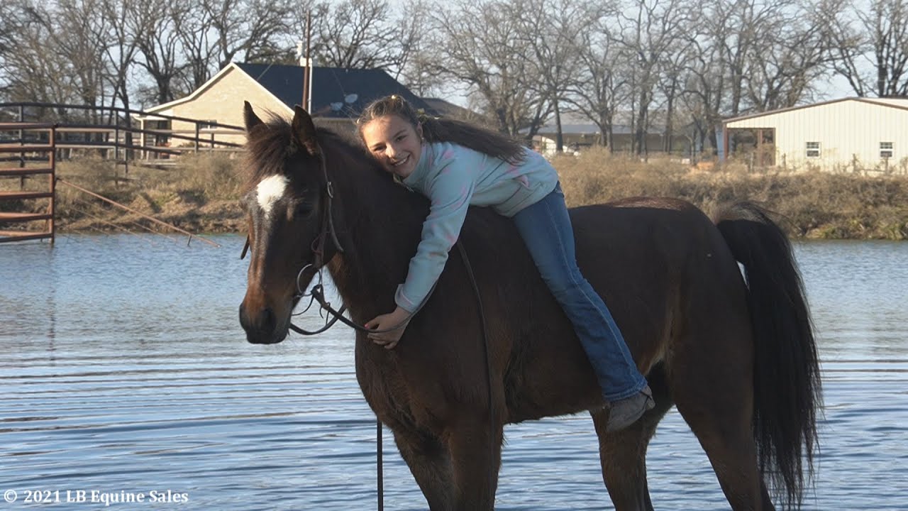 "Little Bear" Kids Sorting, Trail Riding, Bareback, and Play!  - SOLD in 48 hours!