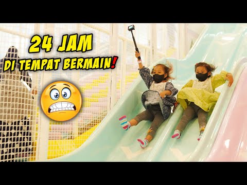 SUARA ANAK KUCING MEMANGGIL INDUKNYA
