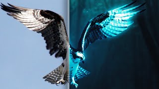 Transform an Eagle into Glowing in Photoshop screenshot 4