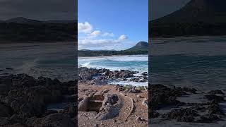 Mallorca:Die Cala Agulla in Cala Ratjada🌞 #mallorca ##calaratjada #fyp #foryou #yt #ytshorts #foryou
