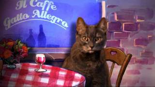 -Thats Amore Song- - Valentines Day Ecards - American Greetings.flv