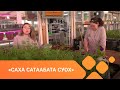 «Саха сатаабата суох» (30.04.21)