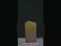 Ngeri! Jamur Zombie di Dunia Nyata
