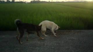 20100808ララ2