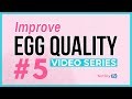 How long does it take to improve egg quality? ☝️ ⬆️ Improve EGG QUALITY VIDEO SERIES ⬆️