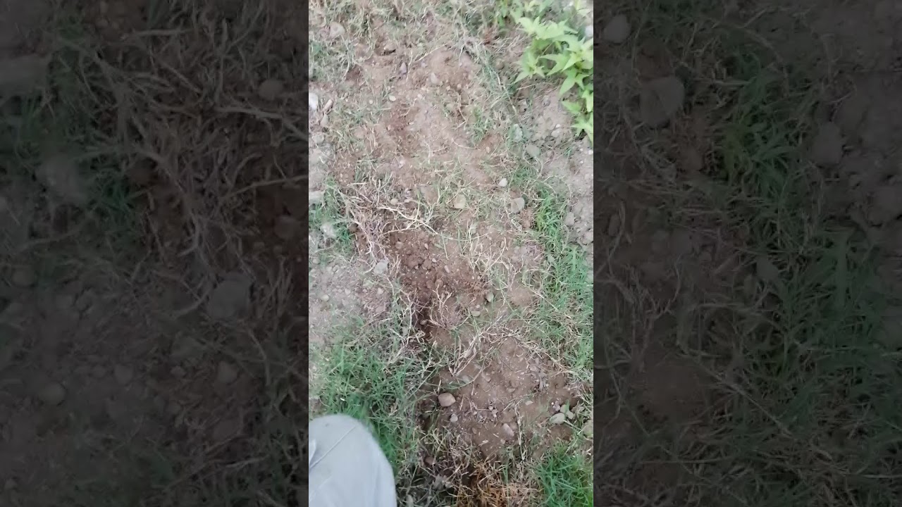 The 8th deadliest sin