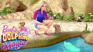 The Gemstone Dolphin | Dolphin Magic | @Barbie