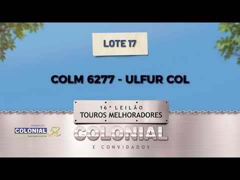 LOTE 17 COLM 6277