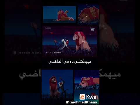 نصائح من سيمبا 