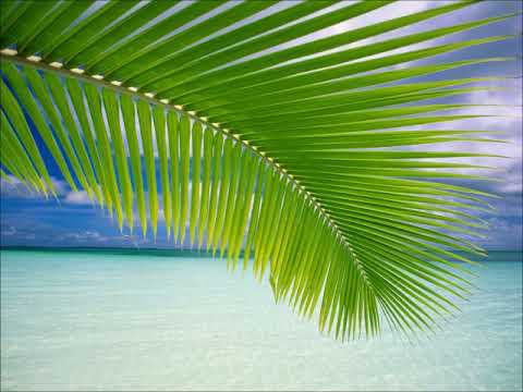 オーイ夏よ・アルト（MIDI）