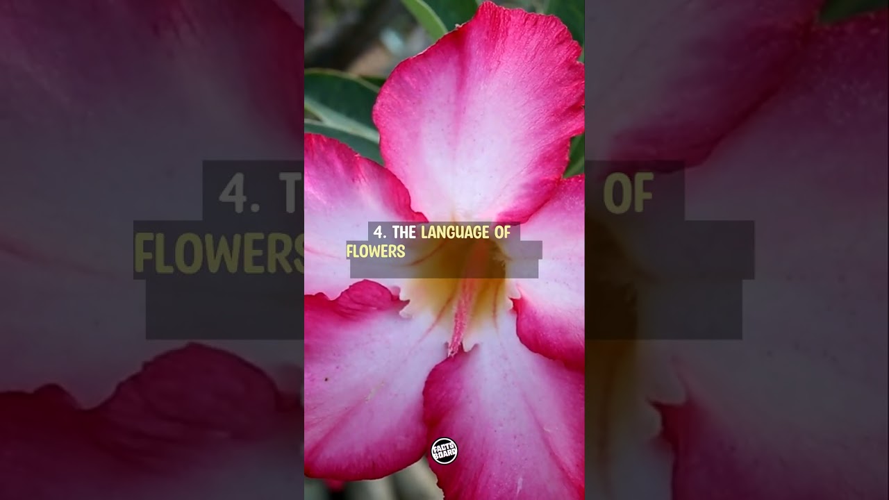 5 Flower Facts That Will Surprise Every Gardener!