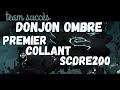 Dofus petit dj ombre full successcore 200  6tours