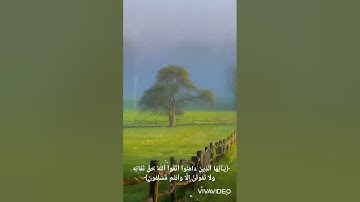 الشيخ ياسر الدوسري یَـٰۤأَیُّهَا ٱلَّذِینَ ءَامَنُوا۟ ٱتَّقُوا۟ ٱللَّهَ حَقَّ تُقَاتِهِ تلاوة خاشعة