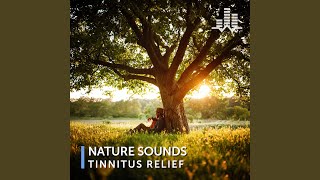 Crackling Bonfire (15khz Cut Tinnitus Relief Loopable)