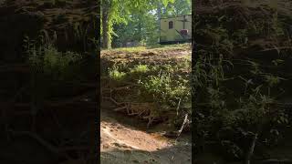 Campsite at Auburn RV Park #nature #outdoors #rv 🏕️ 🔥