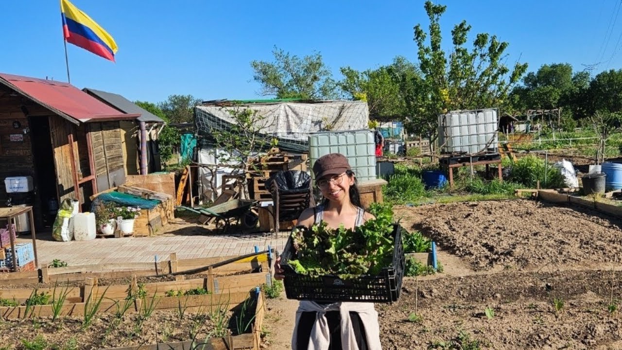 nuestra primera cosecha en el huerto