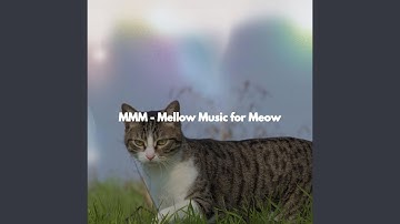 Happy Backdrops for Open Work Floors