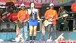 PANTURA Secawan madu byAcha kumala live in sumur,brangsong  - Durasi: 7:25.  PANTURA Secawan madu byAcha kumala live in sumur,brangsong  - Durasi: 7:25.