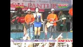 PANTURA Secawan madu byAcha kumala live in sumur,brangsong chords