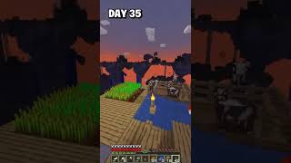 I Survived 100 Days on JUMBLED CHUNKS Hardcore, minecraft