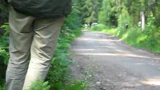 MVI_0164.AVI