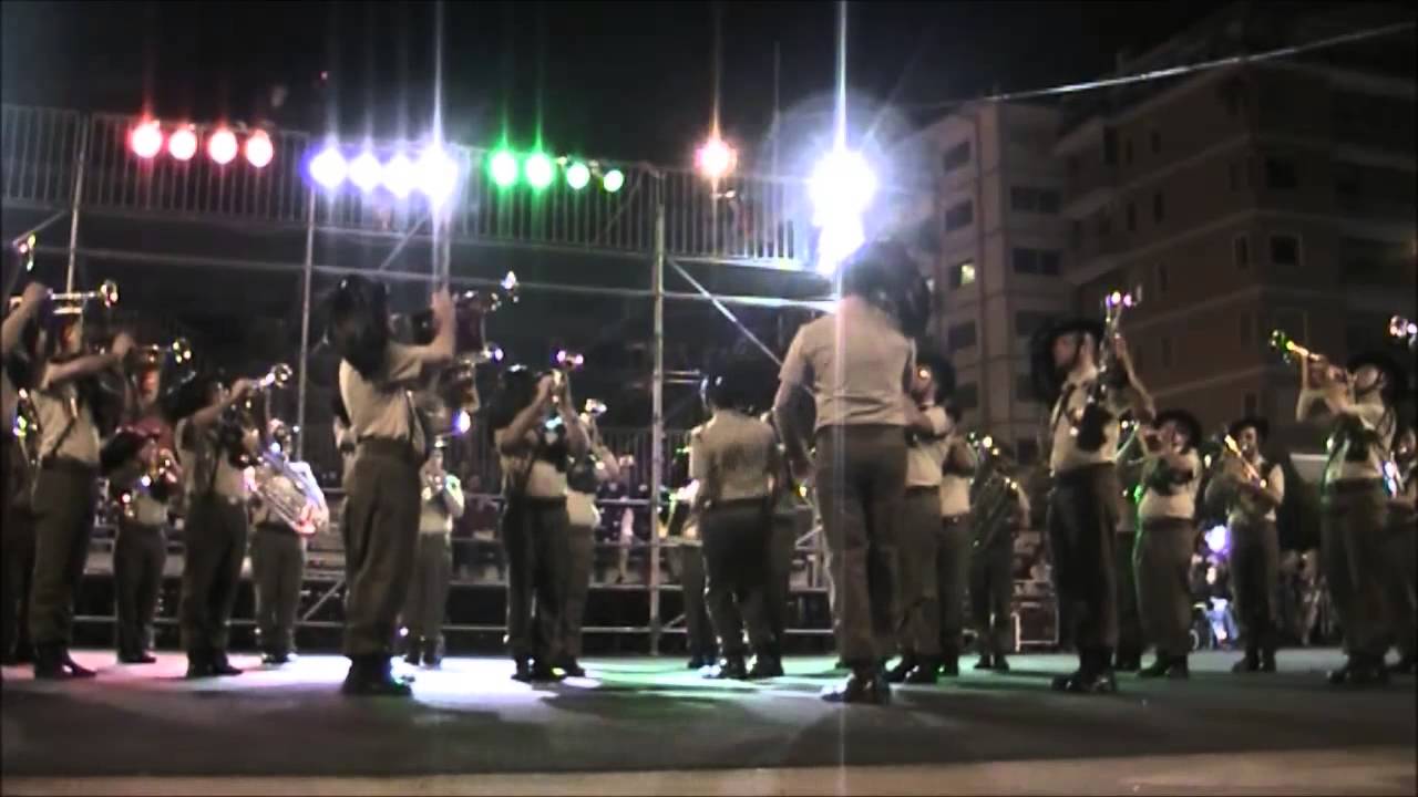 Quadro per un giglio  - Fanfara Palermo Raduno Nazionale Bersaglieri Salerno 2013