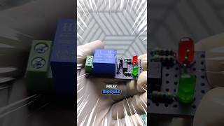 Build This Relay Module Yourself With A Circuit Protection
