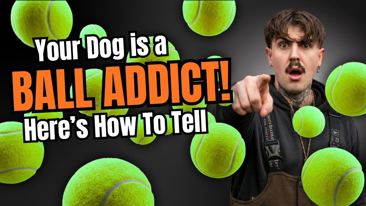 You’ve Got a Ball ADDICT and You Didn’t Even Know